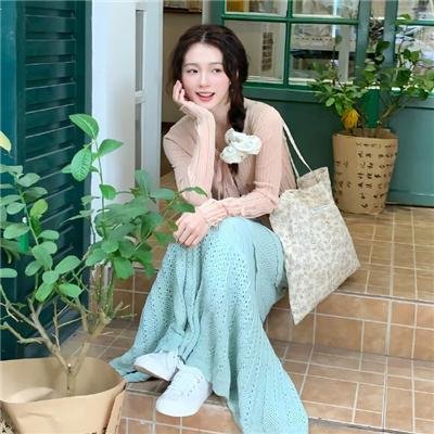 翼手龙